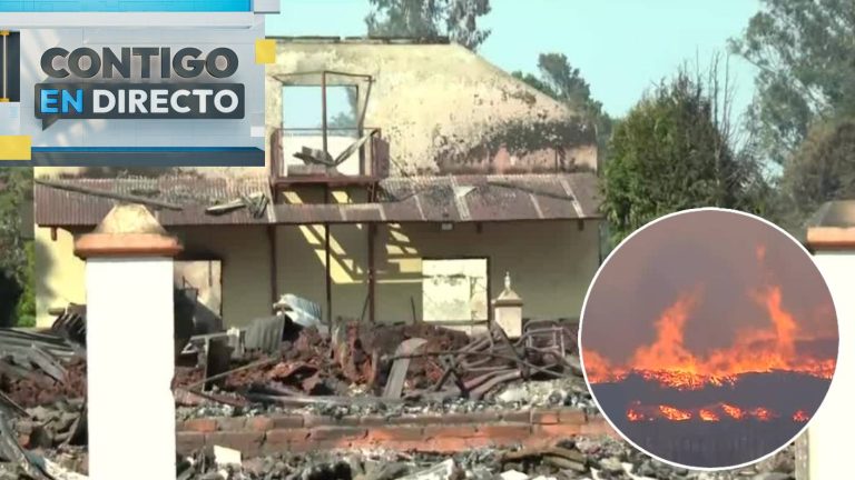 El desolador panorama que dejó el voraz incendio en Traiguén: Un colegio y ocho casas fueron arrasadas