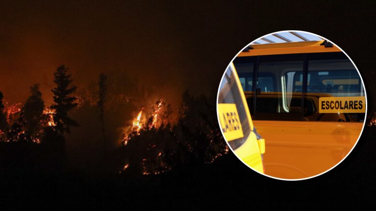 Por incendios forestales: Anuncian suspensión de clases en dos regiones para este martes