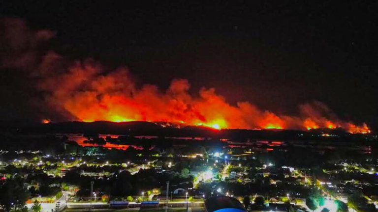 Detienen a 5 personas por uso negligente del fuego en La Araucanía: Investigan quemas no autorizadas