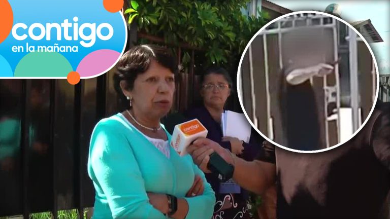 El estremecedor relato de mujer que sufrió ataque de vecino en Maipú: “Se me acercó con una cuerda”