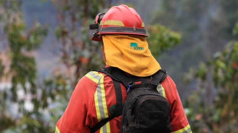 Brigadista forestal murió mientras combatía incendio en Ercilla