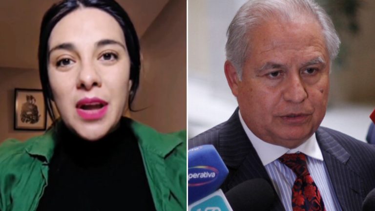 Abogado de Karol Cariola acusó violencia obstétrica: Advirtió posible filtración de fotos del parto