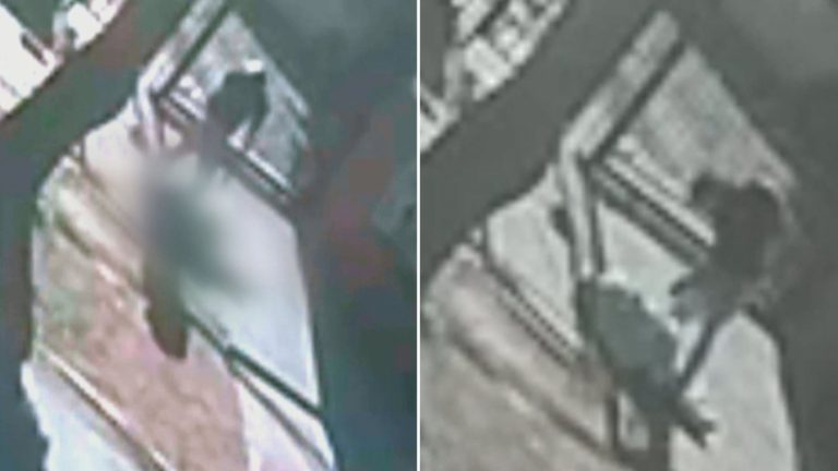 Sufrió un TEC severo: Confirmaron muerte de trabajador atacado con piedra en asalto en Peñalolén