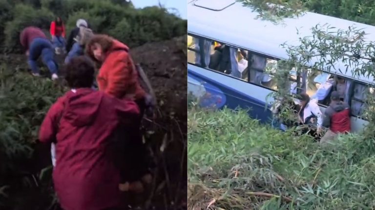 VIDEOS | Accidente en Cochamó: Bus terminó cayendo a un barranco con más de 20 pasajeros