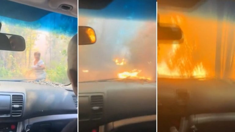 VIDEO | “Tranquila, mami”: Familia grabó escape entre las llamas en incendio forestal de Santa Juana