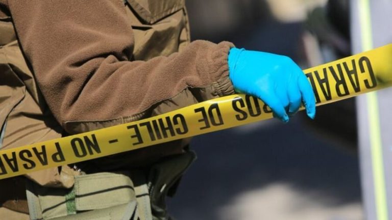 Conmoción en Osorno: Suegra confesó asesinato de su nuera de 22 años y le reveló crimen a su hijo