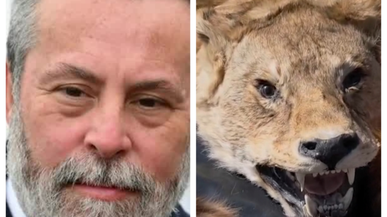 Exembajador chileno es investigado por contrabando de pieles exóticas