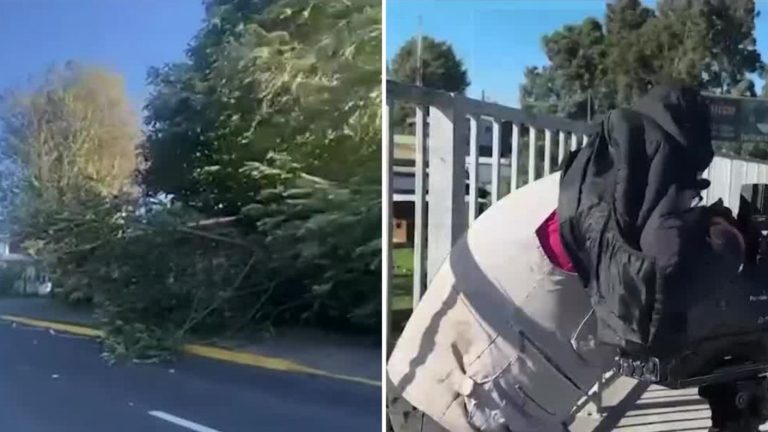 Alerta por fuertes vientos en zona centro-sur: Ráfagas alcanzarían los 100 km/hr