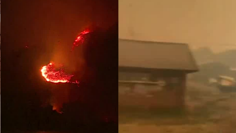 AHORA | Senapred declara Alerta Roja por incendios forestales en Bío Bío y La Araucanía