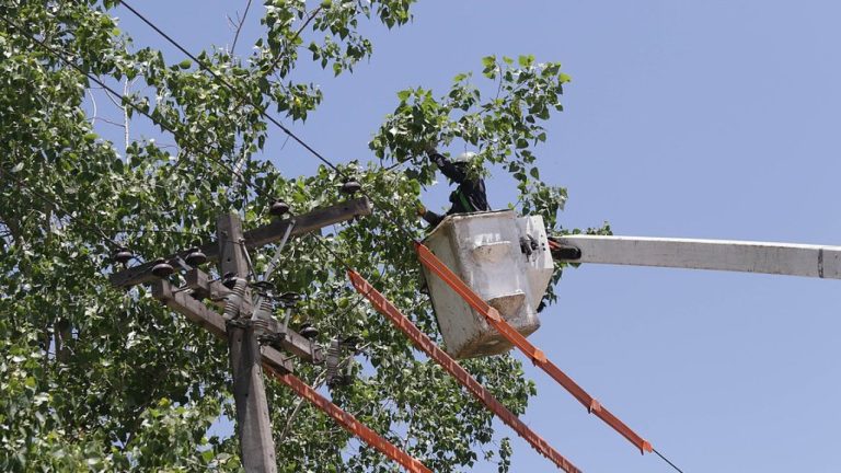 Anuncian cortes de luz para seis comunas este fin de semana: Revisa horarios y zonas afectadas