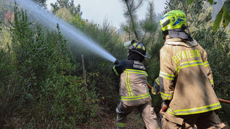 MINUTO A MINUTO | Cerca de 27 familias son evacuadas en Los Sauces y Lumaco por incendio forestal