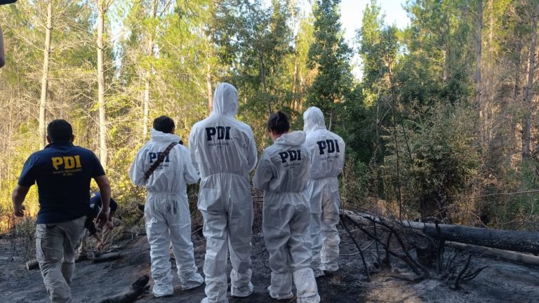 Confirman que cuerpo hallado en Valdivia corresponde a exacadémico que estaba desaparecido