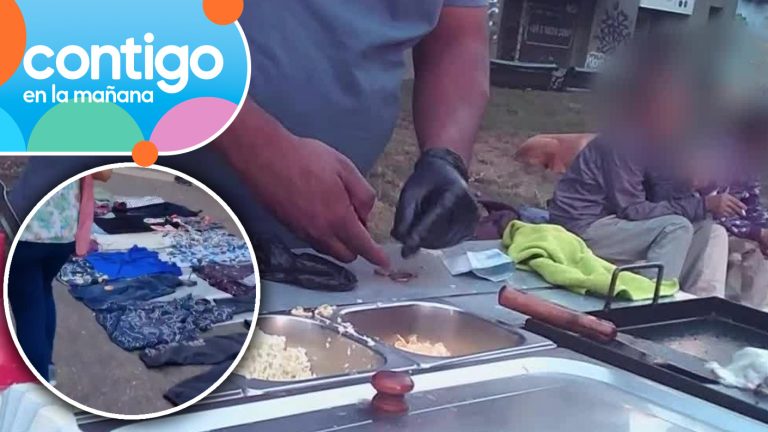 Carros de comida y toldos azules: Comercio ambulante sigue propagándose por barrios de Santiago