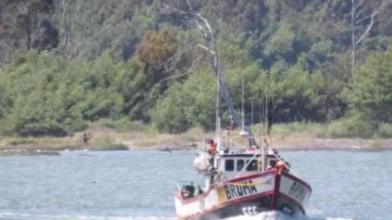 Investigan a barco por choque con lancha naufragada: Encontraron pintura y restos de la embarcación