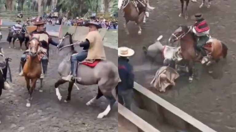 Viralizan brutal pelea entre jinetes en San Vicente de Tagua Tagua: Enfrentamiento comenzó por insólito motivo