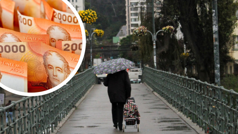 Bono Invierno 2025: Revisa con tu RUT si recibes los $81.257