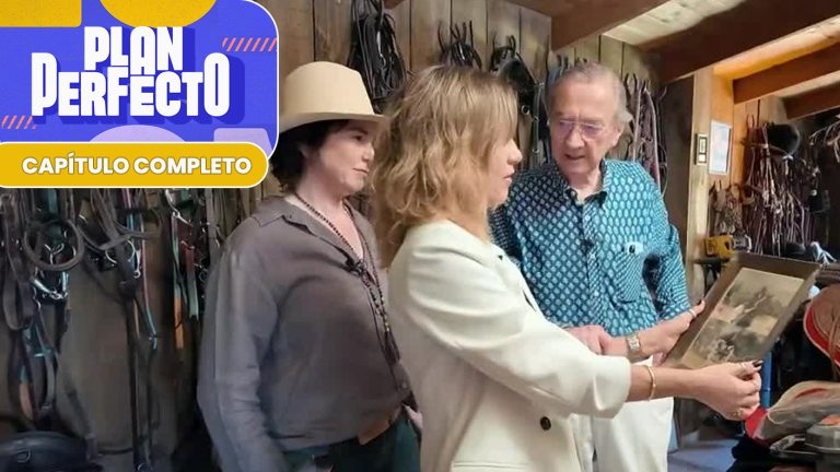 Plan Perfecto | Capítulo 64