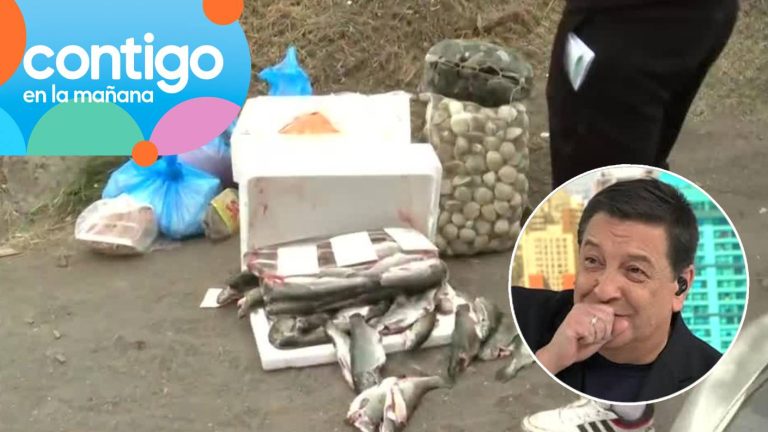 JC Rodríguez no pudo creer insólito accidente durante fiscalización vehicular: “Una ordinariez máxima”