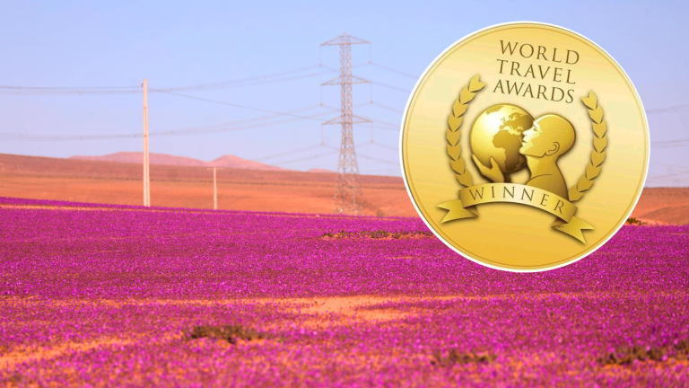 Chile es nominado en Premios “Óscar del turismo”: Revisa CÓMO VOTAR