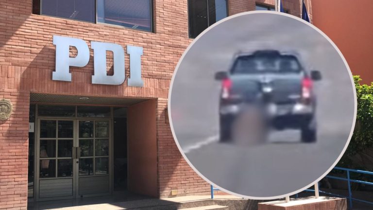 Es médico y trabaja para la PDI: En libertad quedó conductor que arrastró por kilómetros a perro en Ruta 5 Norte