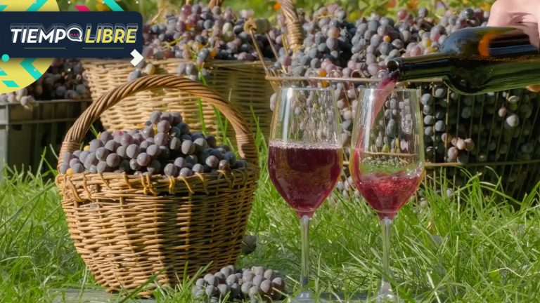 Los Vásquez, Kramer y más: Conoce las actividades gratuitas que trae la Vendimia del Valle del Maipo 2025