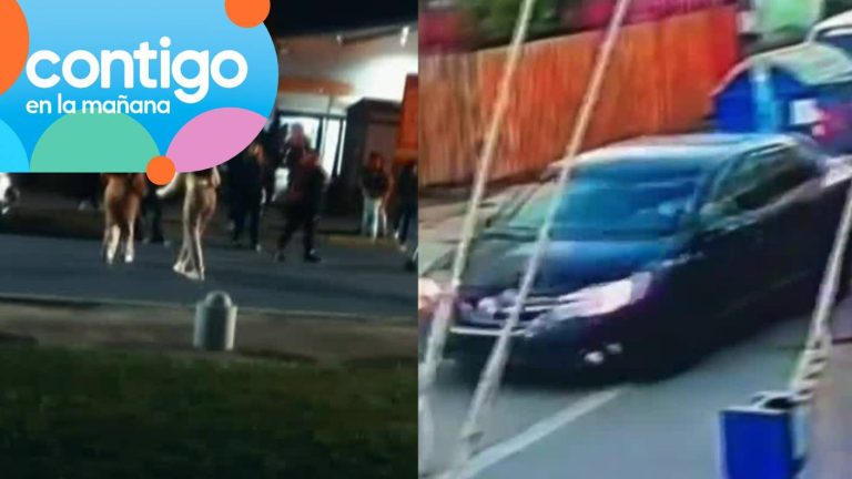 Asesinato de papá de cantante urbano: Quiénes son las bandas narco que están en guerra en Quilicura