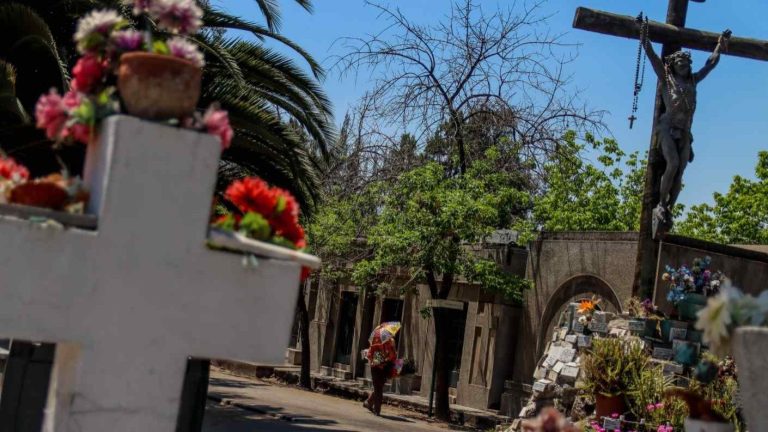Restos en bolsas y sin identificación: Por qué multaron al Cementerio General de Recoleta