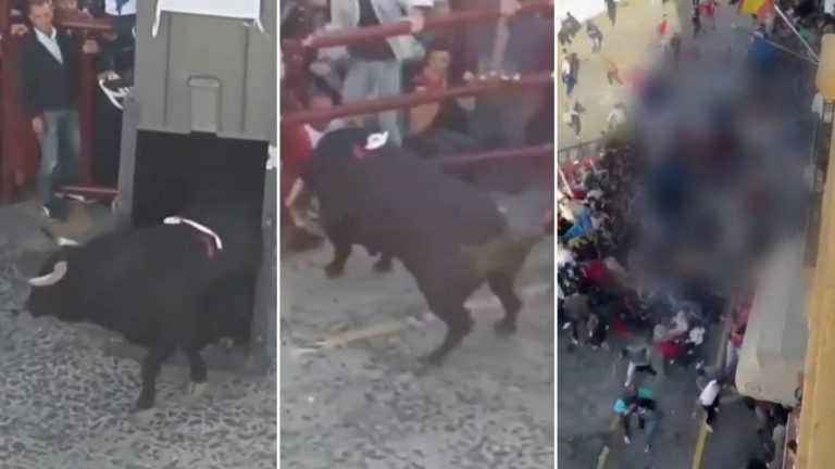 Toro rompió valla y embistió a una multitud de personas en fiesta taurina en España