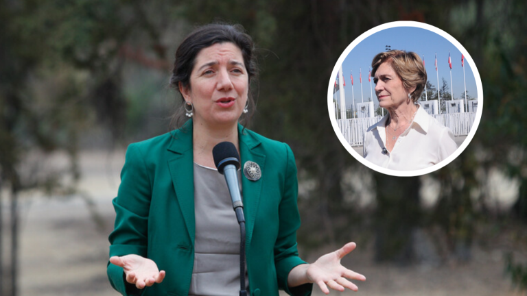 Ministra Etcheverry alerta peligro de dichos de Matthei: “Es un retroceso que es preocupante”