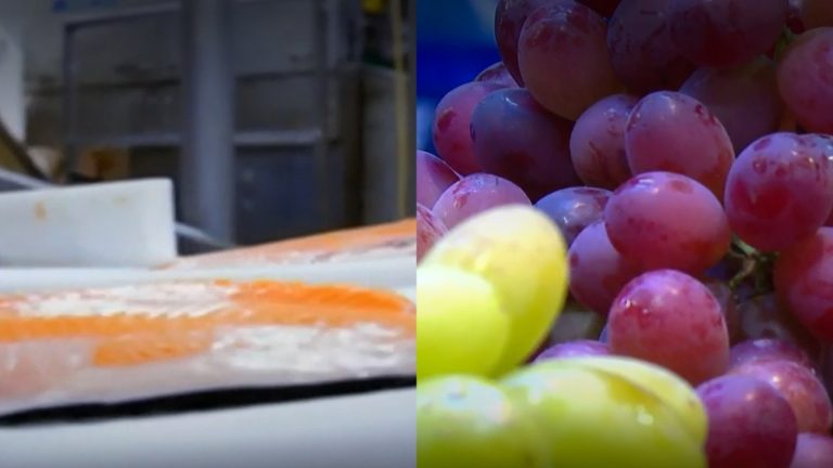 El salmón y la uva son los productos chilenos más afectados por los aranceles de Trump