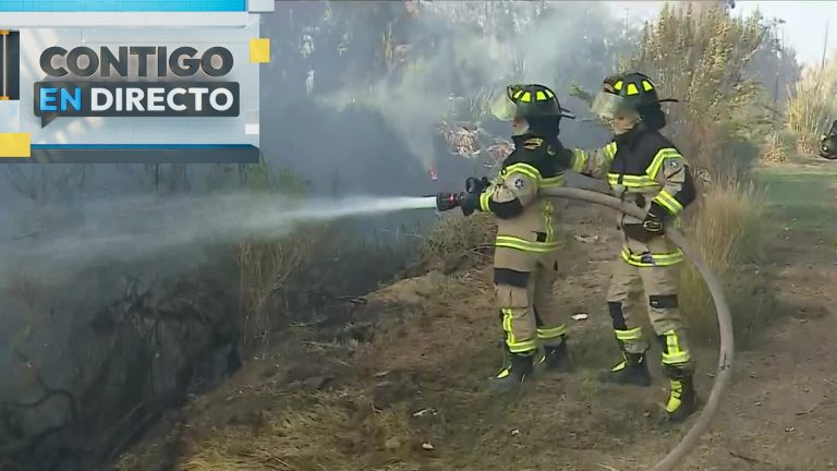 Incendio en Puente Alto: Bomberos combate el siniestro frente al peligro de propagación