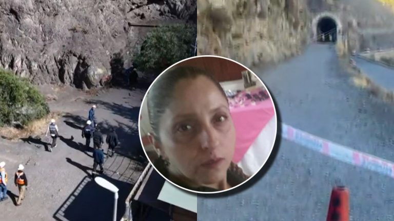 Madre de cuatro hijos murió en paseo familiar en el Cajón del Maipo: Una roca le cayó en la cabeza