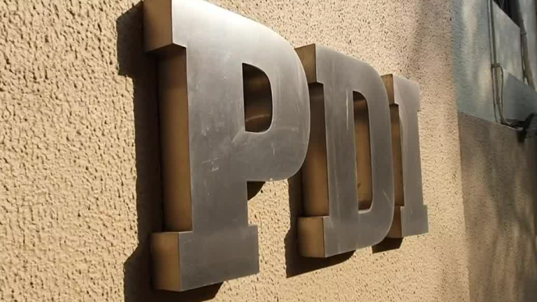 Se rescataron a 20 menores: Detienen a 102 pedófilos de una red de explotación sexual infantil en Chile