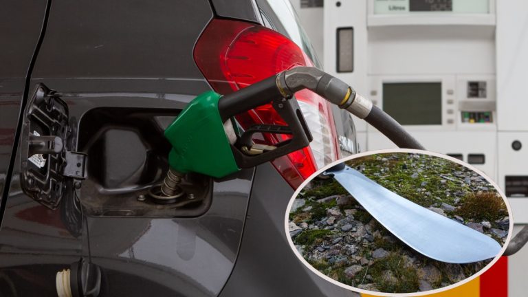 “El viejo se fue corriendo y saca un machete”: Cliente acusó cobro erróneo y atacó a trabajador en bencinera de Valdivia