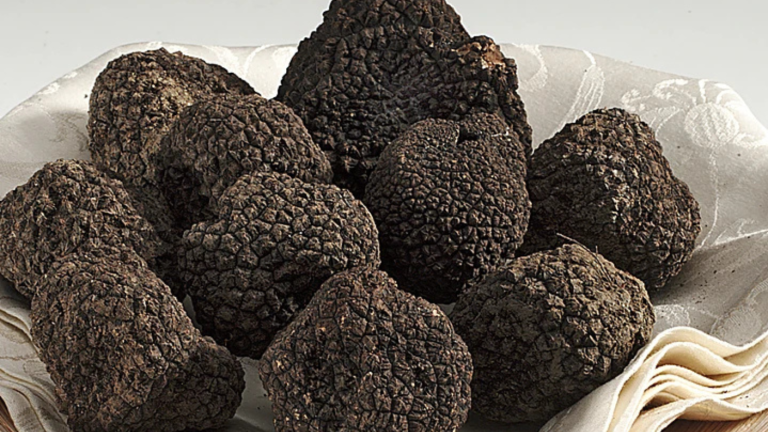 Lujo altamente cotizado: Por qué es tan cara la trufa negra y qué beneficios entrega