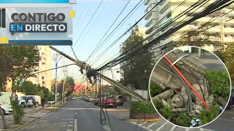 Camión derribó poste de luz en Ñuñoa dejando cortes de tránsito: Chofer culpa a “cables bajos”