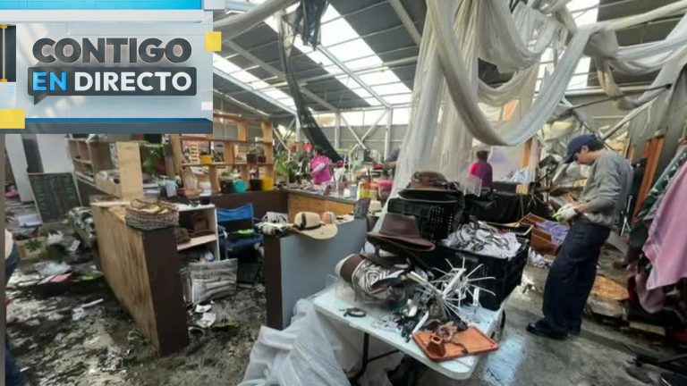 Millonarias pérdidas: Tornado destruyó mercado municipal de Puerto Varas