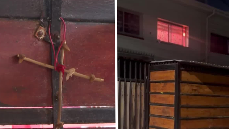 Denuncian a mujer por magia negra en Puente Alto: Habría hecho sacrificios con gatos de vecinos