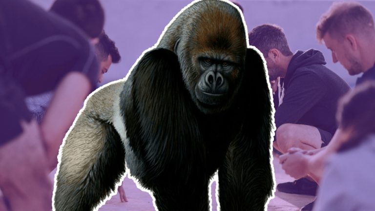100 hombres vs un gorila: El nuevo debate de internet y cuál sería el resultado de este delirante enfrentamiento
