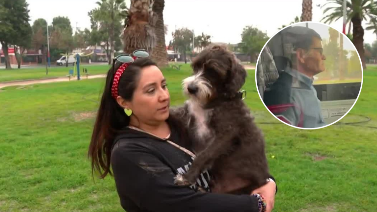 Pasajera de bus RED denuncia agresión de chófer que le impidió subir con su perro de apoyo emocional
