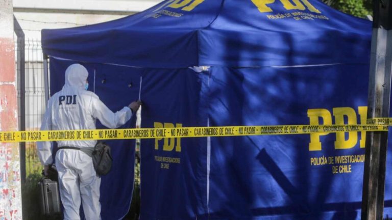 Impacto en Lumaco por hallazgo de cadáver: Cuerpo presentó mordidas de perros