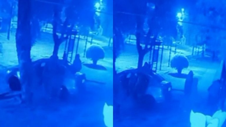 VIDEO | Registro muestra el momento exacto en que mujer defendió su casa con temeraria acción