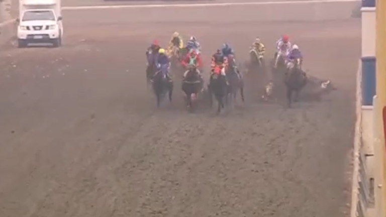 Un caballo muerto y cuatro jinetes heridos tras grave accidente durante rodada en el Hipódromo