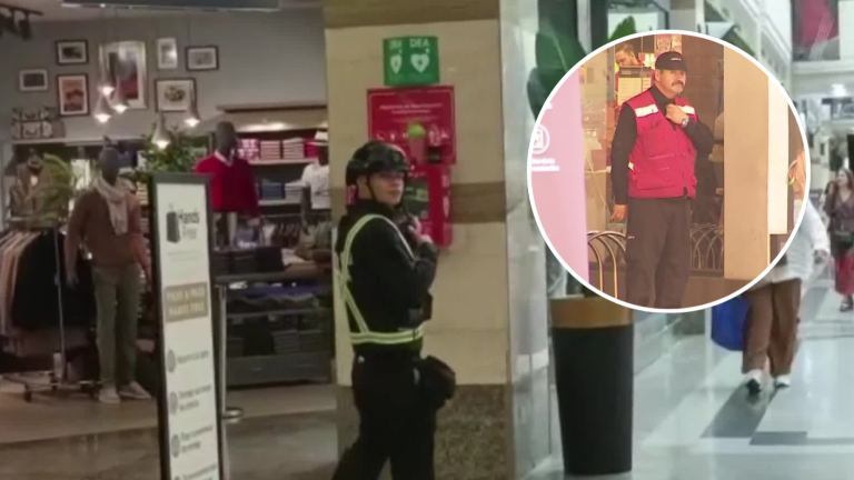 Porte de armamento y normas para eventos masivos: Así funcionará la nueva ley de seguridad privada