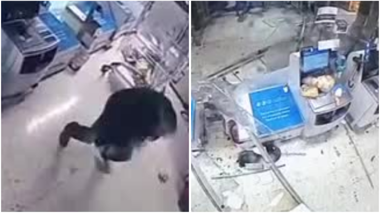 VIDEO: Impactante registro muestra el paso del tornado por supermercado en Puerto Varas