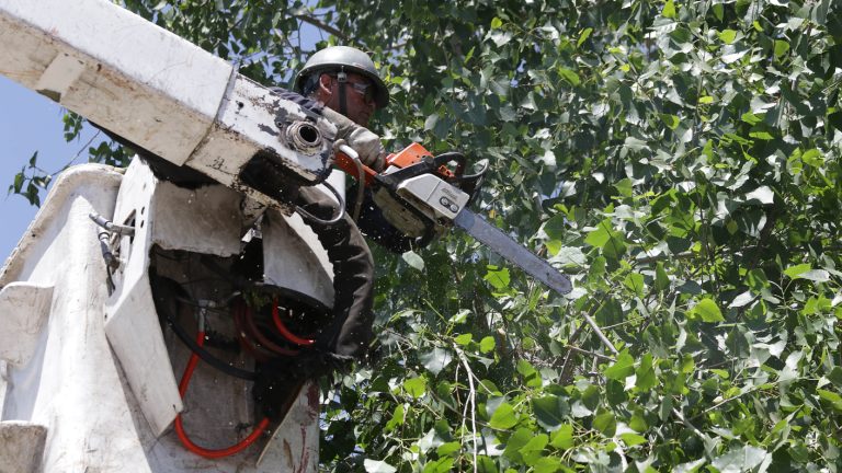 Nueve comunas afectadas: Enel informa cortes de luz para este martes 6 de mayo