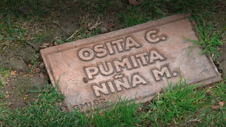 Anuncian cementerios de mascotas municipales: ¿Qué hacer y cuál es el procedimiento para darles sepultura?