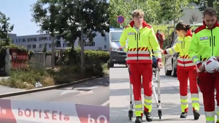 VIDEO | Tiroteo en escuela secundaria en Austria deja 11 muertos