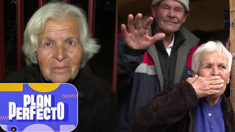 ¿Qué fue de la abuelita Hilda? La importante ayuda que recibió adulta mayor que vende plantas en la calle
