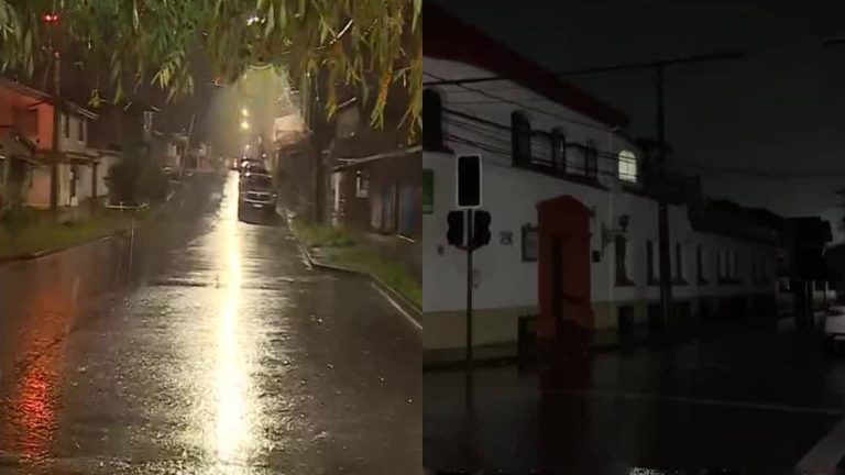 Fuerte temporal azota desde la región del Biobío al sur: Se registran cortes de luz y árboles caídos